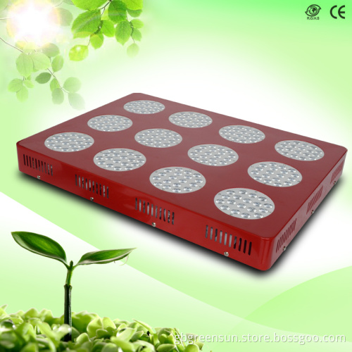 Big Angle Second Optical Lens 500W LED Grow Light (GS-Znet12-500W)